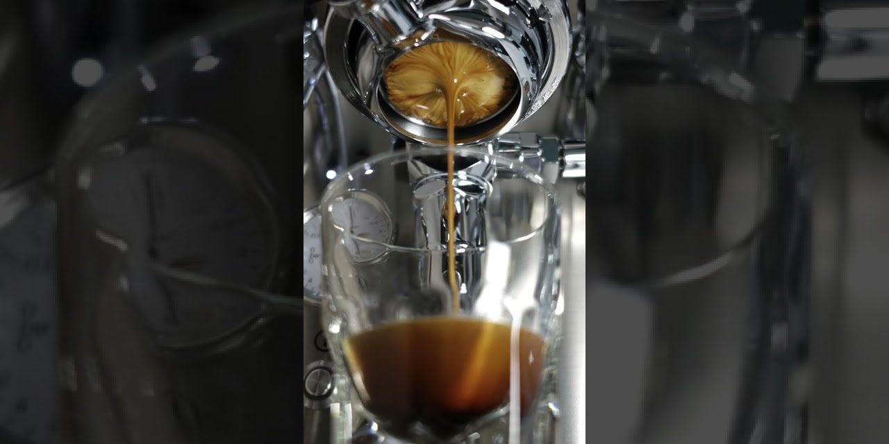 SATISFYING #6 | Espresso Bottomless Extraction (WDT + Tamper) #shorts Lelit MaraX PL6…