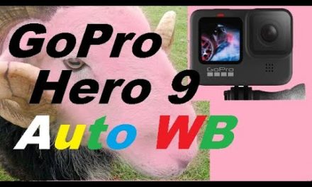 GoPro Hero 9 Auto White Balance with Flat Colour Profile